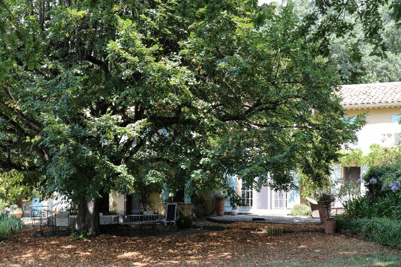 Domaine Des Tilleuls D'Or Saint-Cézaire-sur-Siagne Esterno foto