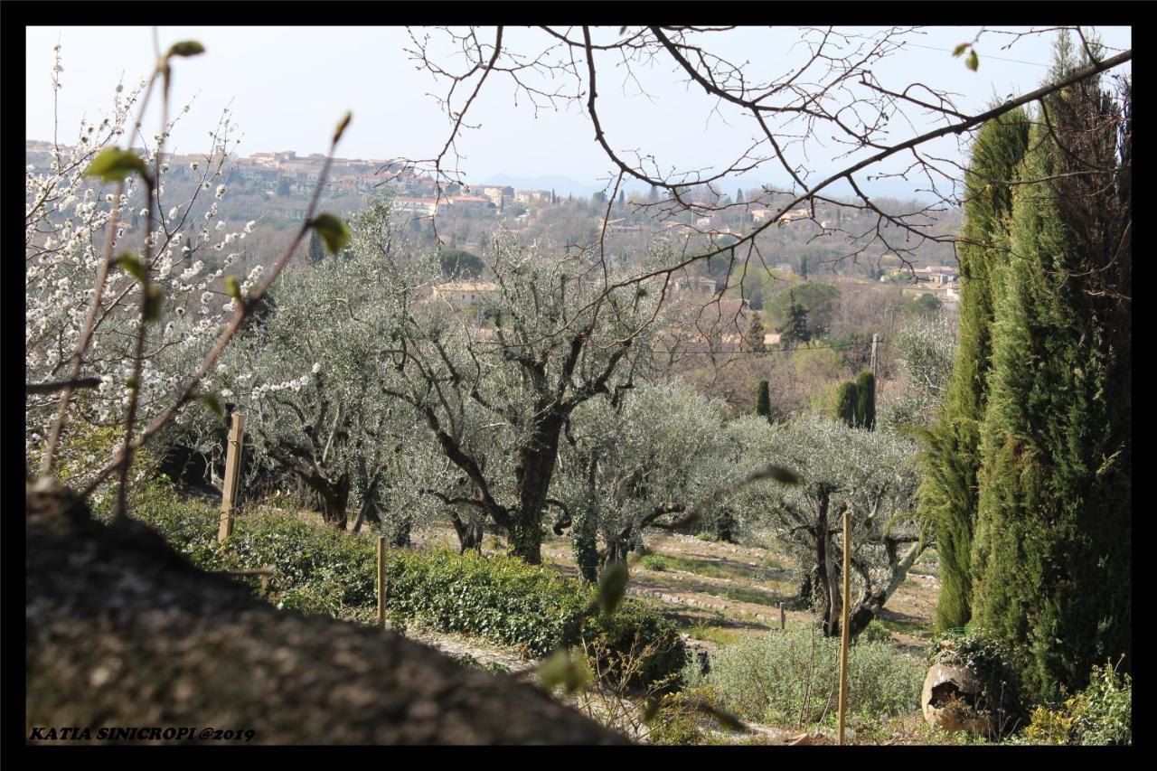 Domaine Des Tilleuls D'Or Saint-Cézaire-sur-Siagne Esterno foto