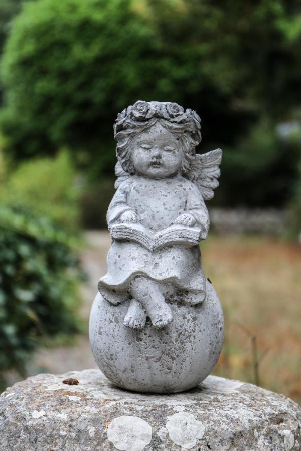 Domaine Des Tilleuls D'Or Saint-Cézaire-sur-Siagne Esterno foto