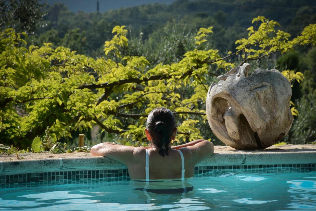 Domaine Des Tilleuls D'Or Saint-Cézaire-sur-Siagne Esterno foto
