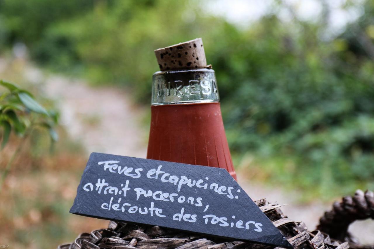 Domaine Des Tilleuls D'Or Saint-Cézaire-sur-Siagne Esterno foto