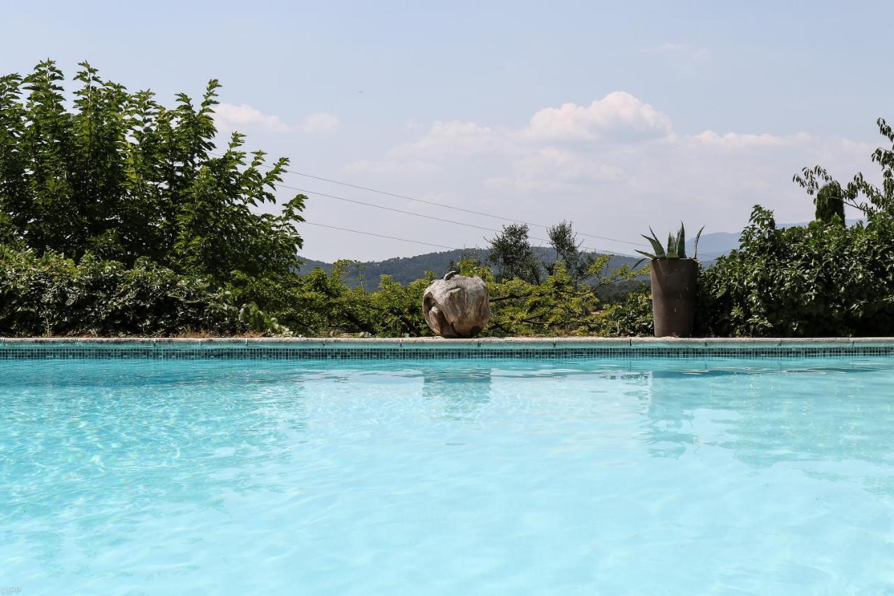 Domaine Des Tilleuls D'Or Saint-Cézaire-sur-Siagne Esterno foto