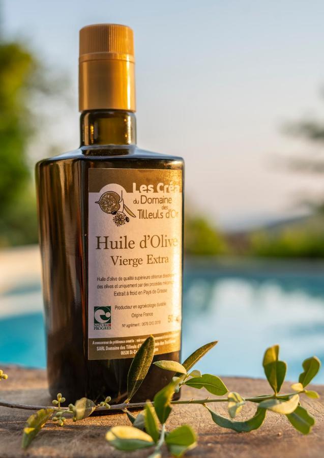 Domaine Des Tilleuls D'Or Saint-Cézaire-sur-Siagne Esterno foto