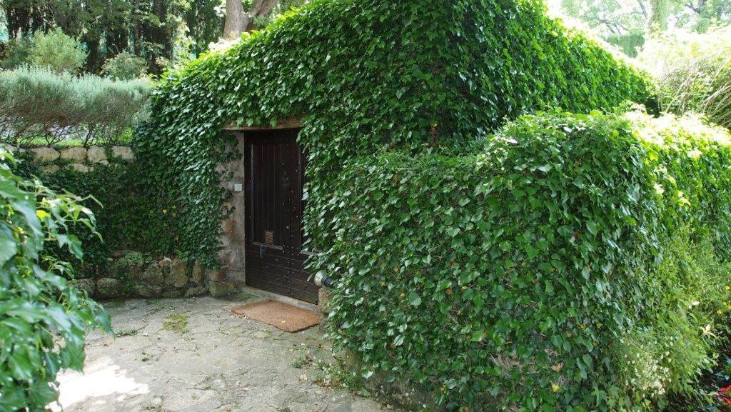 Domaine Des Tilleuls D'Or Saint-Cézaire-sur-Siagne Esterno foto